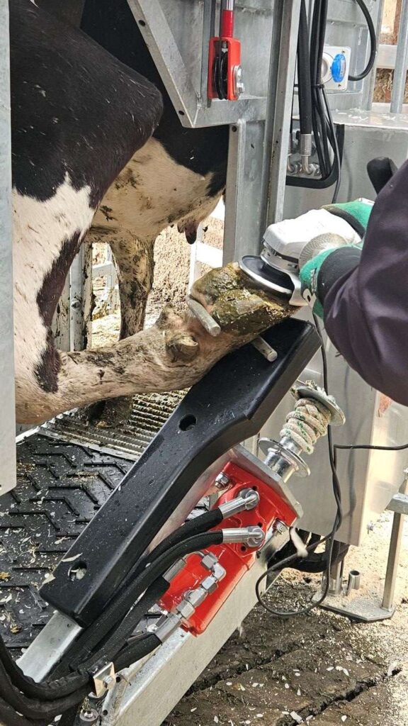 Eko Farmer Pro